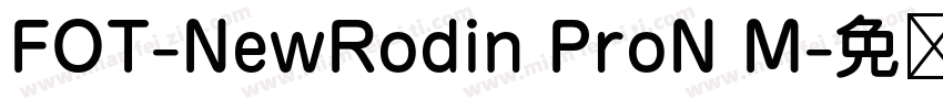 FOT-NewRodin ProN M字体转换